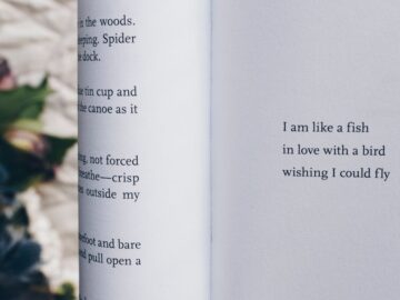 découvrez une sélection de citations romantiques inspirantes qui capturent l'essence de l'amour. parfaites pour exprimer vos sentiments ou ajouter une touche poétique à vos messages.