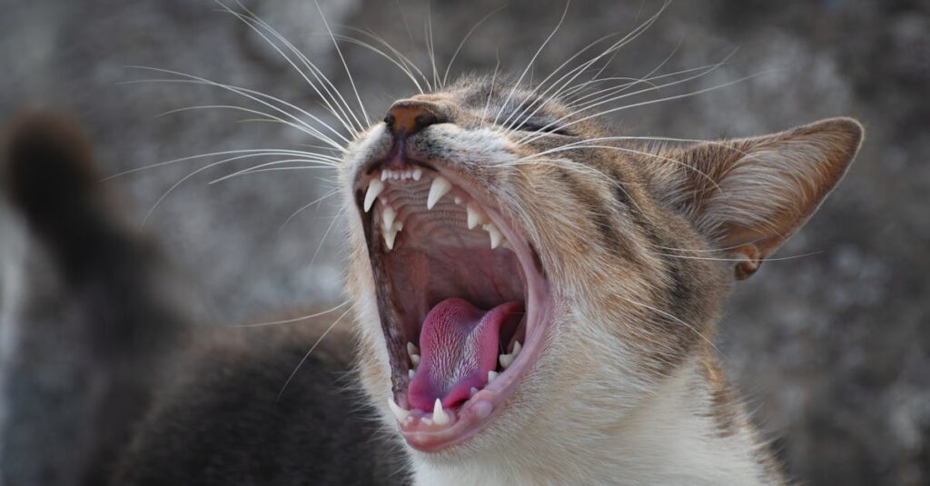 L’amour agape : Un pilier fondamental pour les relations contemporaines découvrez le concept d'agape, l'amour inconditionnel qui transcende toutes les frontières. explorez ses valeurs, son importance et comment il peut enrichir vos relations personnelles et sociales.