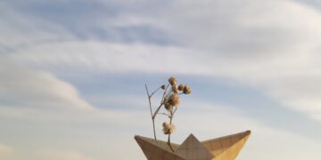 découvrez les relations éphémères : un phénomène fascinant qui explore les connexions brèves mais intenses entre les individus. apprenez comment ces liens transitoires peuvent enrichir votre vie et offrir des expériences uniques.