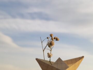 découvrez les relations éphémères : un phénomène fascinant qui explore les connexions brèves mais intenses entre les individus. apprenez comment ces liens transitoires peuvent enrichir votre vie et offrir des expériences uniques.