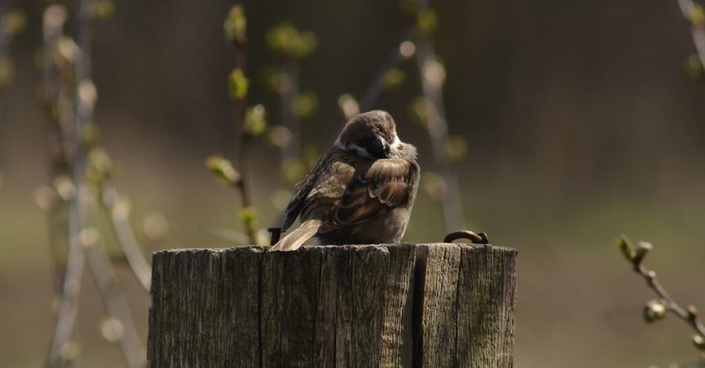 découvrez l'importance de la patience dans notre vie quotidienne. apprenez comment cultiver cette vertu essentielle pour mieux gérer le stress, améliorer vos relations et atteindre vos objectifs. un guide pratique pour ceux qui souhaitent développer leur capacité à attendre et à agir avec calme.
