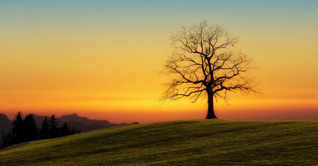 réflexions inspirantes sur la solitude pour apaiser vos moments de solitude découvrez les multiples facettes de la solitude : un état d'introspection, un havre de paix ou une épreuve difficile. explorez comment ce sentiment complexe peut influencer notre vie, notre créativité et notre bien-être.