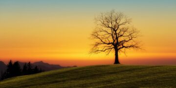 découvrez les multiples facettes de la solitude : un état d'introspection, un havre de paix ou une épreuve difficile. explorez comment ce sentiment complexe peut influencer notre vie, notre créativité et notre bien-être.