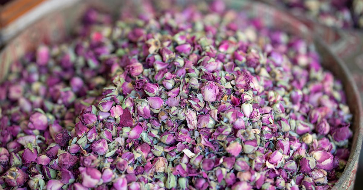 découvrez tout ce qu'il faut savoir sur l'essence : types, usages, impact environnemental et conseils pour un choix éclairé. optimisez vos trajets avec une meilleure compréhension de ce combustible essentiel pour les véhicules.