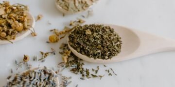 découvrez tout ce qu'il faut savoir sur l'essence : types, utilisations, impacts environnementaux et conseils pour optimiser votre consommation. plongez dans l'univers de ce carburant essentiel au quotidien.
