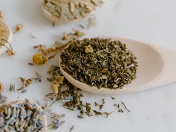 découvrez tout ce qu'il faut savoir sur l'essence : types, utilisations, impacts environnementaux et conseils pour optimiser votre consommation. plongez dans l'univers de ce carburant essentiel au quotidien.