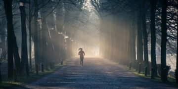 découvrez l'importance de l'exercice physique pour votre santé et votre bien-être. apprenez des routines variées, des conseils pour rester motivé et les bienfaits de l'activité physique sur votre corps et votre esprit.