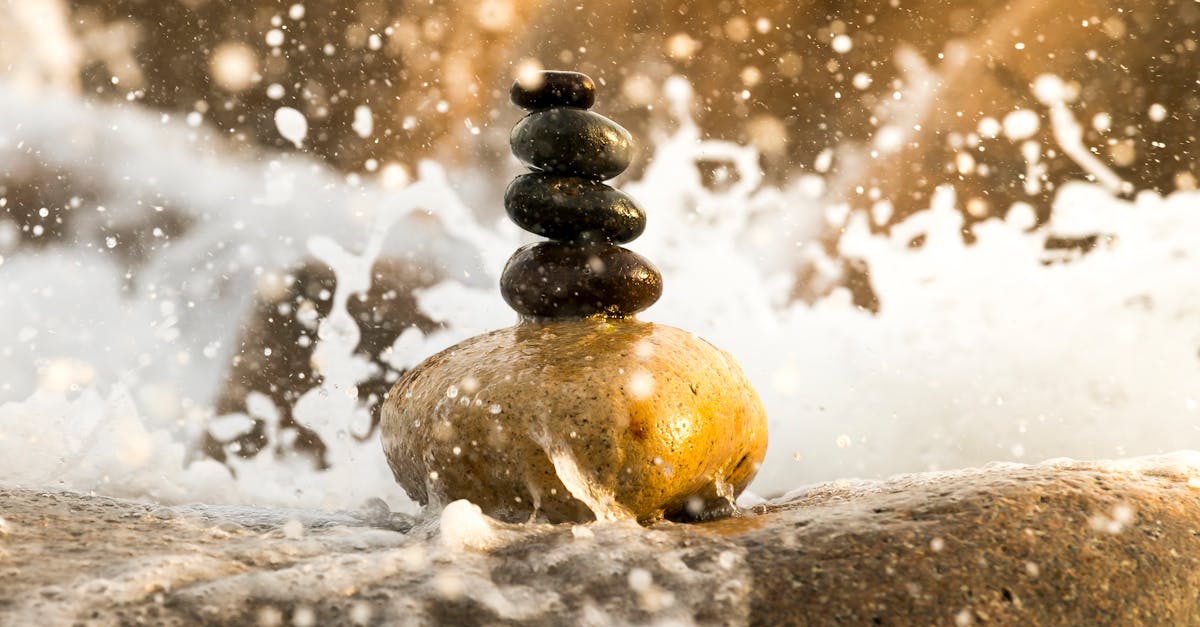 découvrez notre gamme de balances, idéales pour un suivi précis de votre poids et de votre santé. que ce soit pour un usage domestique ou professionnel, trouvez la balance qui répond à tous vos besoins.