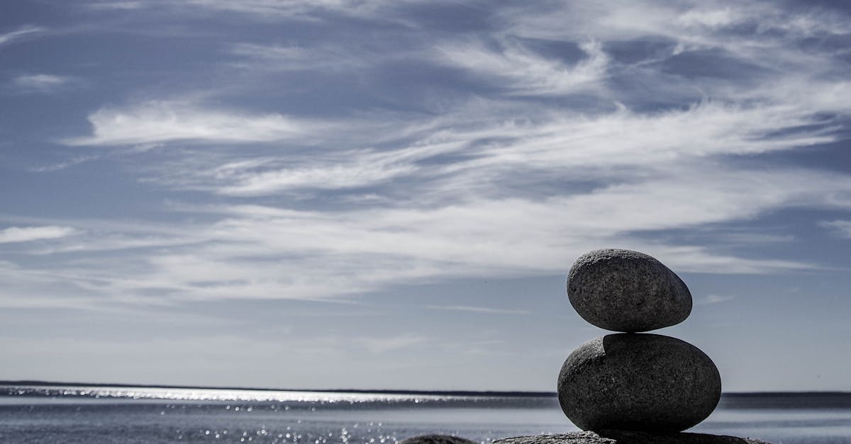 découvrez l'importance de l'équilibre dans votre vie quotidienne. explorez des conseils pratiques pour atteindre une meilleure harmonie entre travail, santé et bien-être, tout en apprenant à gérer le stress et à faire des choix éclairés.