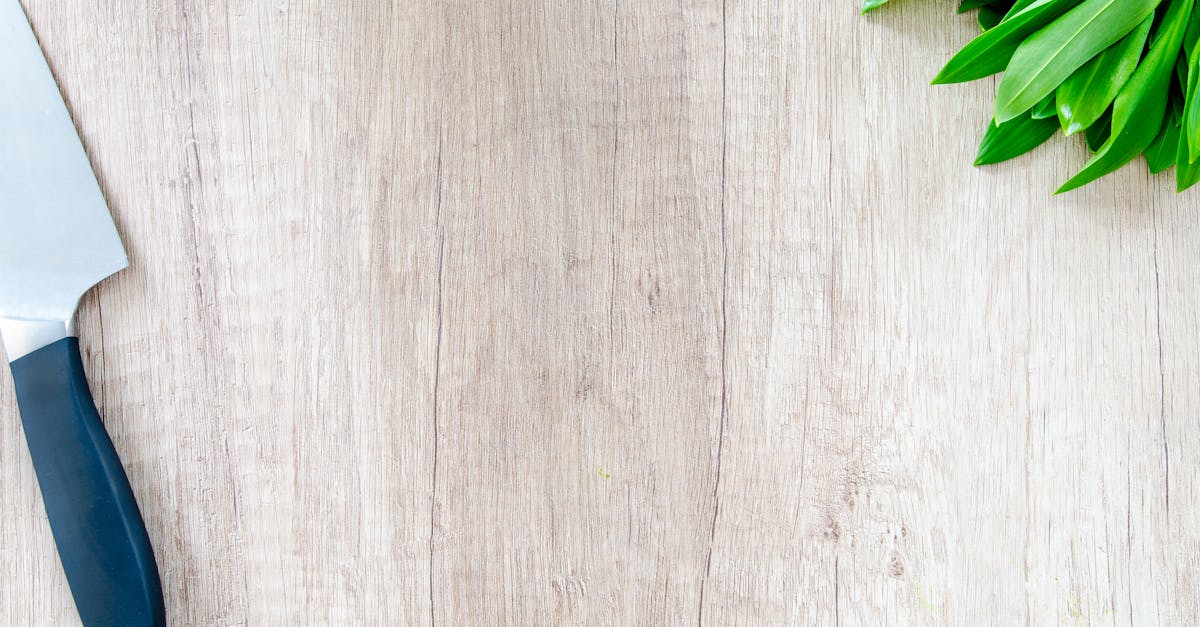 découvrez l'univers passionnant de la cuisine : recettes savoureuses, techniques culinaires et conseils pratiques pour élever votre art culinaire à un niveau supérieur. que vous soyez débutant ou chef expérimenté, inspirez-vous pour régaler vos convives.