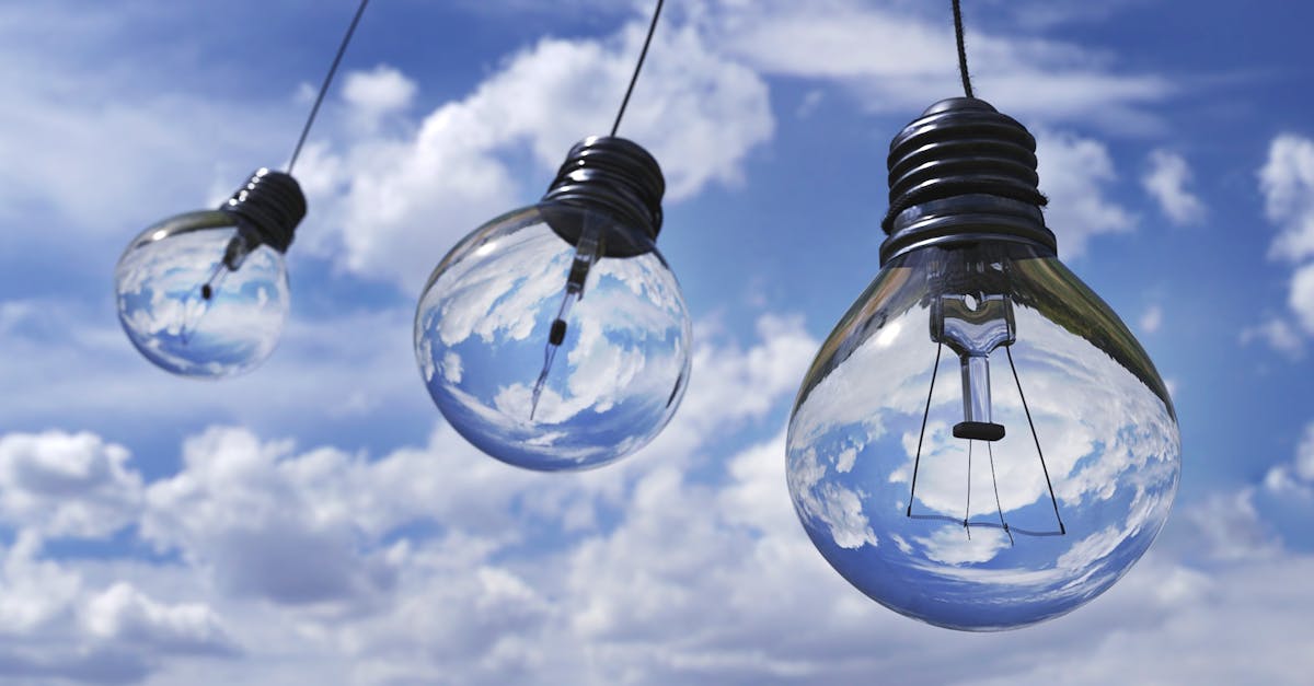 explorez les enjeux environnementaux actuels, découvrez des solutions durables et informez-vous sur l'importance de préserver notre planète pour les générations futures.
