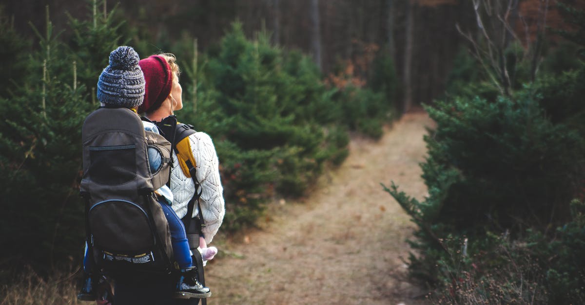 découvrez les meilleures randonnées à travers des paysages époustouflants. que vous soyez débutant ou randonneur expérimenté, notre guide vous propose des itinéraires adaptés pour profiter de la nature et des grands espaces en toute sécurité. préparez votre aventure dès aujourd'hui!