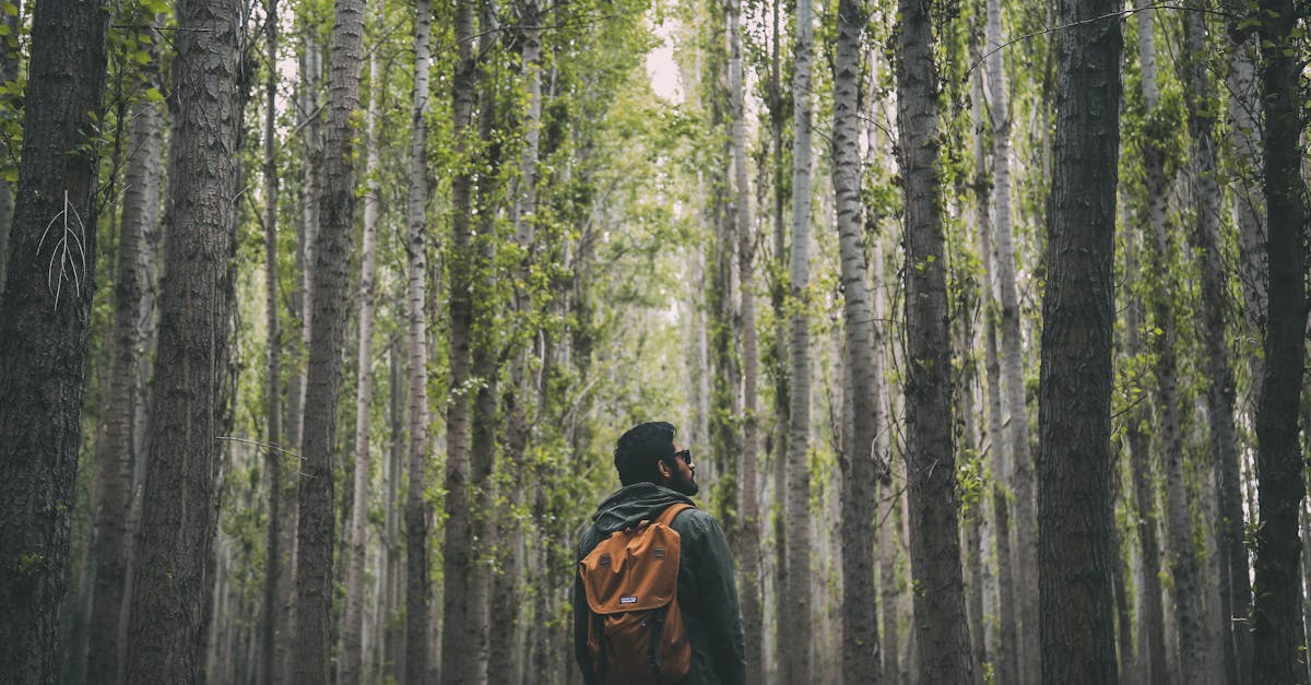 découvrez les meilleures randonnées à travers des paysages à couper le souffle. que vous soyez débutant ou expert, planifiez votre prochaine aventure en pleine nature et ressentez la liberté des grands espaces.
