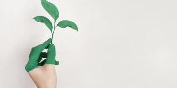 découvrez l'importance de l'interaction humaine, ses impacts sur notre bien-être et nos relations sociales, et comment favoriser des connexions authentiques dans un monde numérique.