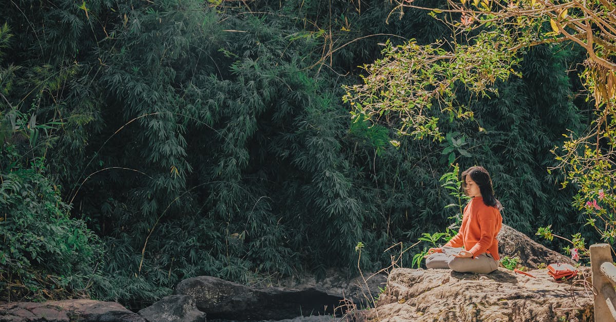 découvrez les secrets de la paix intérieure et apprenez à cultiver un esprit serein. explorez des techniques de méditation, de pleine conscience et de bien-être pour harmoniser votre vie et atteindre un état de tranquillité durable.