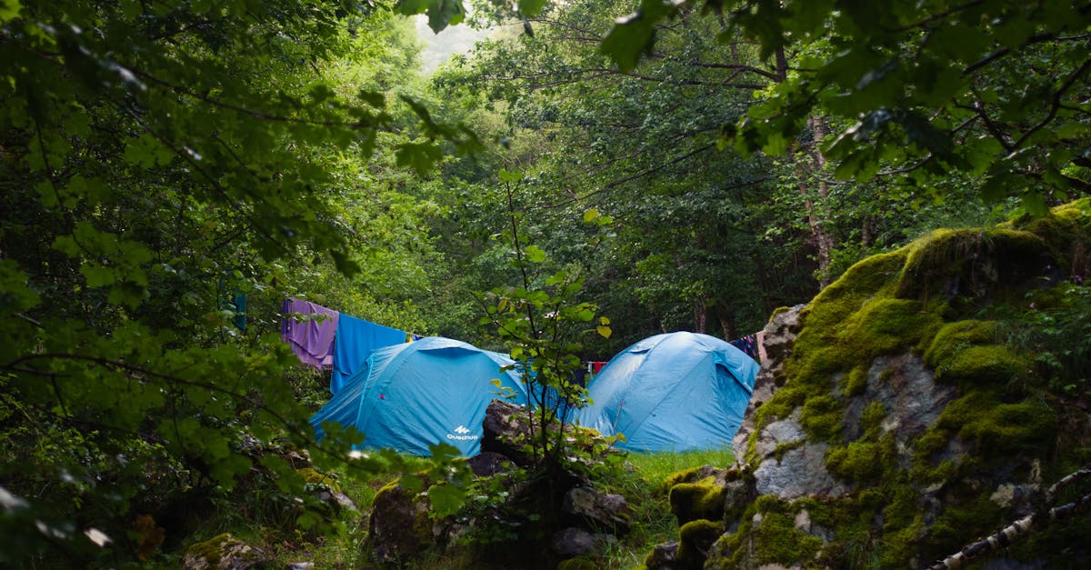 découvrez les secrets de la reconnexion spirituelle et émotionnelle. apprenez à rétablir des liens profonds avec vous-même et avec les autres, pour une vie plus épanouissante et harmonieuse.