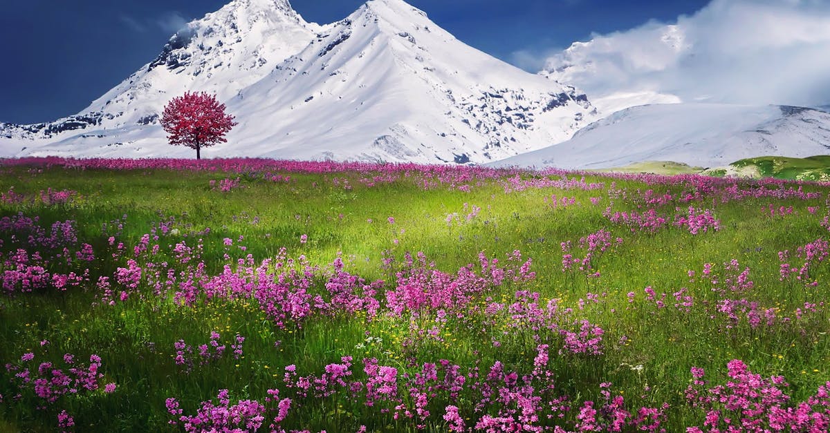 découvrez les bienfaits de la relaxation pour apaiser votre esprit et revitaliser votre corps. explorez des techniques efficaces, des exercices de respiration et des conseils pour intégrer la sérénité dans votre quotidien.