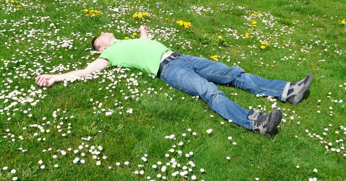 découvrez l'art de la relaxation avec nos conseils et techniques pour apaiser votre esprit et revitaliser votre corps. plongez dans un univers de calme et de sérénité pour améliorer votre bien-être au quotidien.
