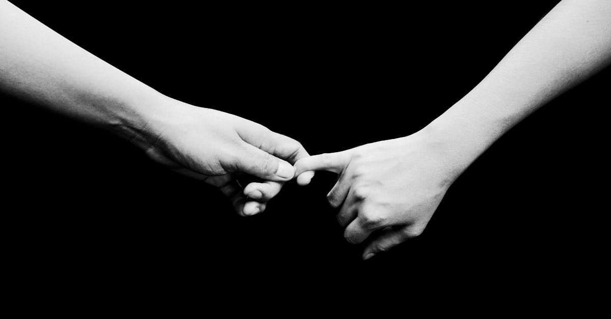 découvrez la puissance de la solidarité : un mouvement collectif qui unit les individus, renforce les communautés et crée un impact positif dans le monde. engagez-vous pour aider les autres et bâtir un avenir meilleur ensemble.
