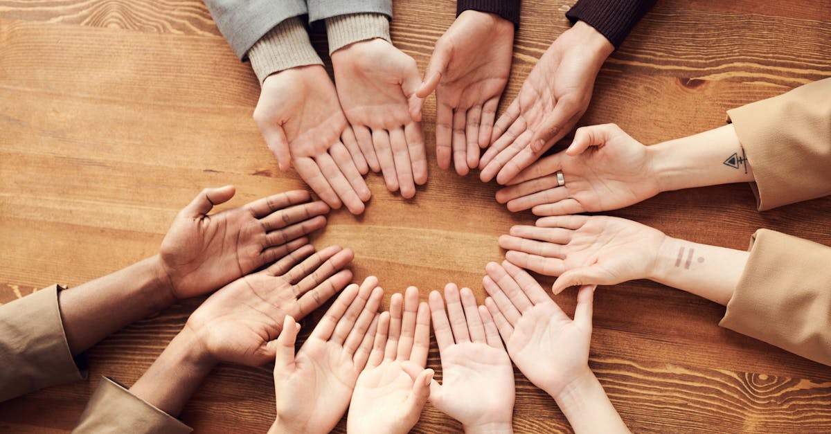 découvrez l'importance de la solidarité dans nos sociétés modernes. apprenez comment elle renforce les liens communautaires, favorise l'entraide et contribue à créer un monde plus équitable et humain.