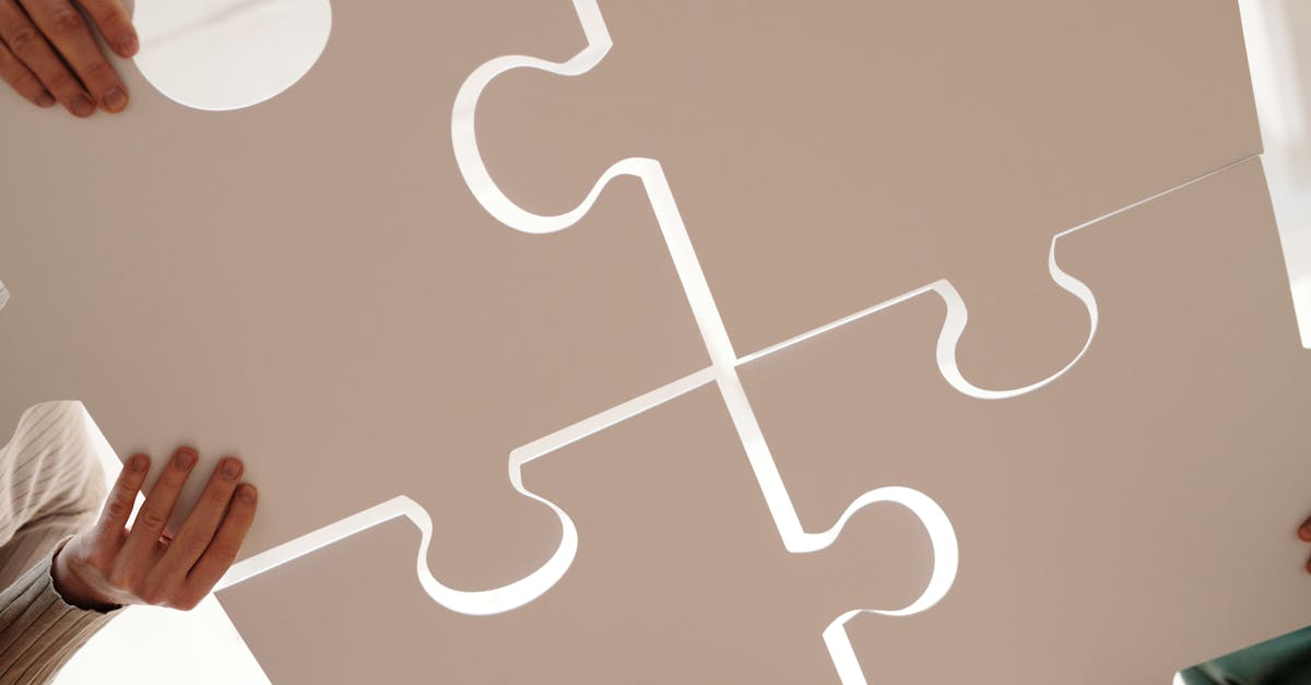 découvrez le concept de synergy, où l'harmonie et la collaboration entre différentes forces ou éléments créent des résultats supérieurs. explorez comment la combinaison des talents et des ressources peut mener à une efficacité accrue et à des innovations transformantes.