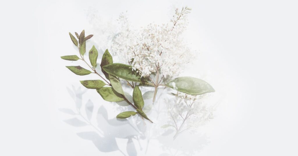 Revenir à la simplicité : décomplexifier son quotidien découvrez la beauté de la simplicité avec nos conseils pratiques et idées inspirantes. apprenez à simplifier votre vie quotidienne pour gagner en clarté et sérénité.