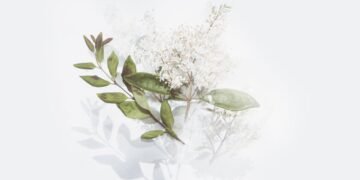 découvrez la beauté de la simplicité avec nos conseils pratiques et idées inspirantes. apprenez à simplifier votre vie quotidienne pour gagner en clarté et sérénité.