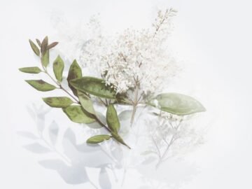 découvrez la beauté de la simplicité avec nos conseils pratiques et idées inspirantes. apprenez à simplifier votre vie quotidienne pour gagner en clarté et sérénité.