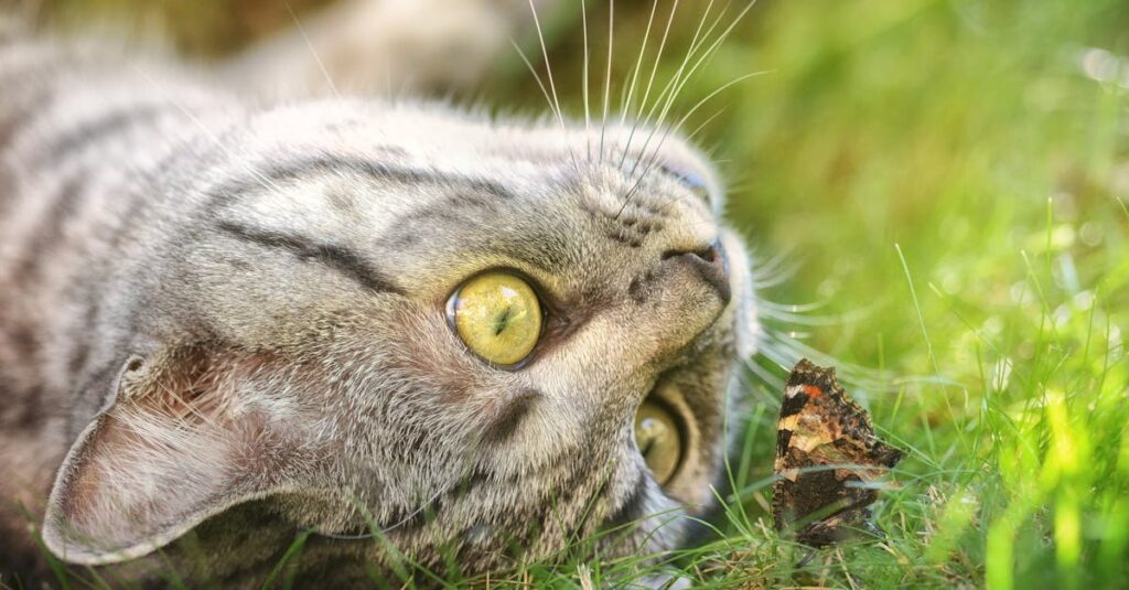 découvrez pourquoi il est essentiel de prêter attention à certains signes ou messages pour garantir votre sécurité, votre bien-être et rester informé des dernières alertes importantes.