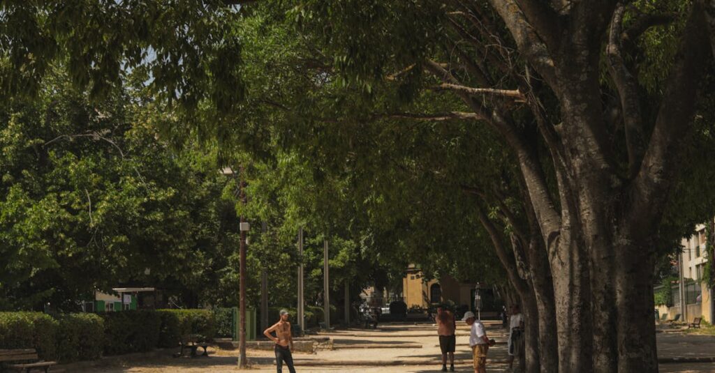 découvrez ce qu'est un ex, les raisons des séparations et l'importance de tourner la page pour avancer dans la vie sentimentale. conseils et explications dans cet article.