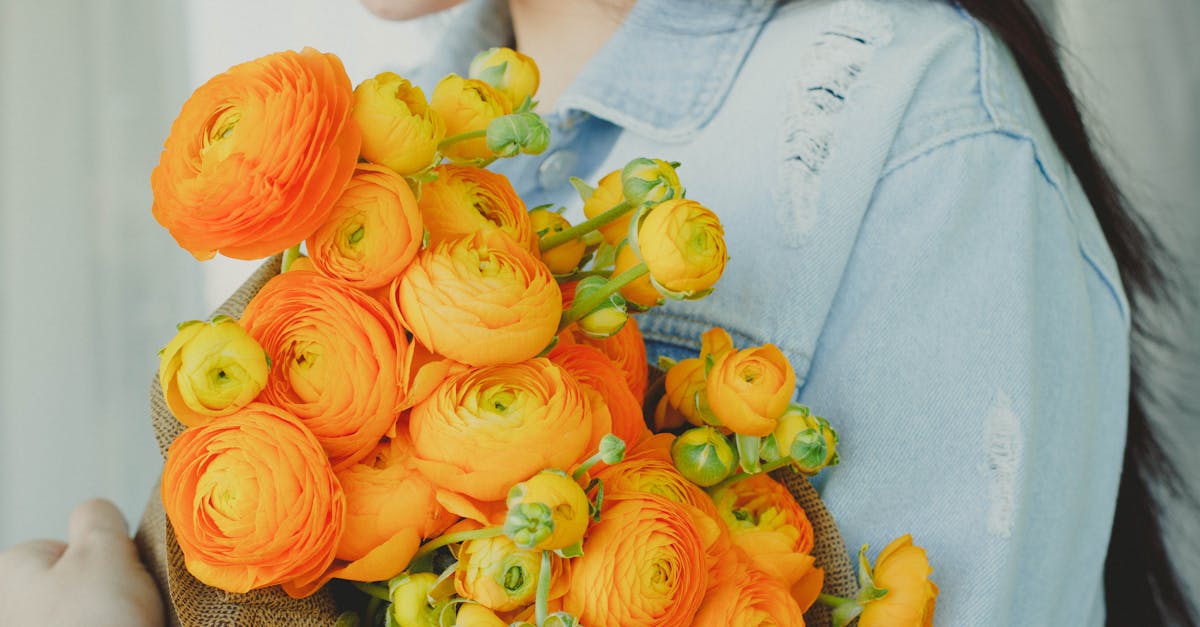 découvrez une sélection de cadeaux uniques et originaux pour toutes les occasions. trouvez l'inspiration parfaite pour faire plaisir à vos proches avec notre collection de gift idées tendances.