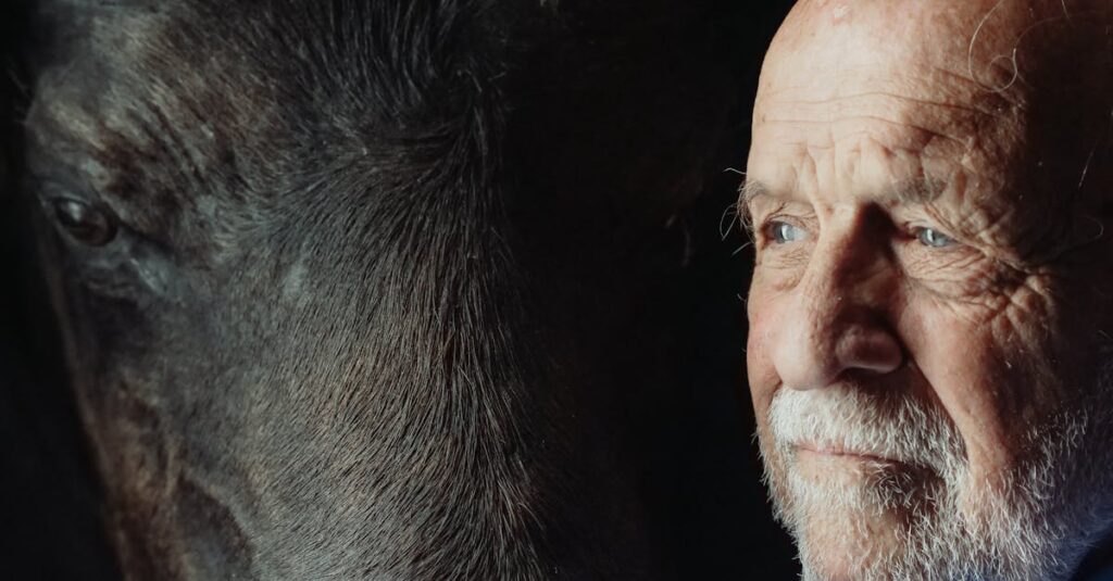 découvrez les causes, les conséquences et les solutions possibles lorsque quelque chose est manquant. obtenez des conseils pratiques pour gérer efficacement les situations de manque dans différents contextes.