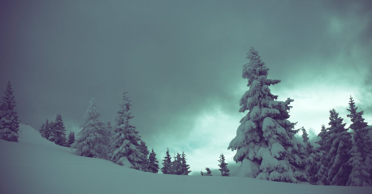 découvrez la signification et l'importance du silence, ses bienfaits sur le bien-être, la réflexion, et comment il influence notre quotidien. explorez les différentes formes de silence et leurs impacts.