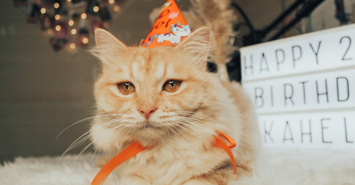 découvrez des idées et exemples de messages d'anniversaire pour souhaiter joyeux anniversaire à vos proches avec originalité, tendresse ou humour.