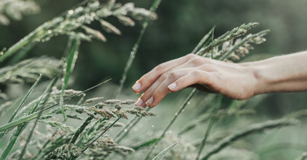 Rompre en douceur : 10 phrases pour mettre fin à une relation sans blesser découvrez comment mettre fin à une relation en douceur avec nos conseils pour une séparation respectueuse et bienveillante.