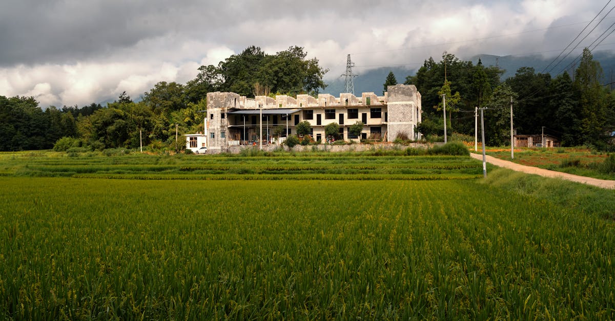 découvrez tout ce que vous devez savoir sur les exemples (ex) : définitions, usages et conseils pratiques pour mieux comprendre et utiliser les abréviations dans vos écrits.