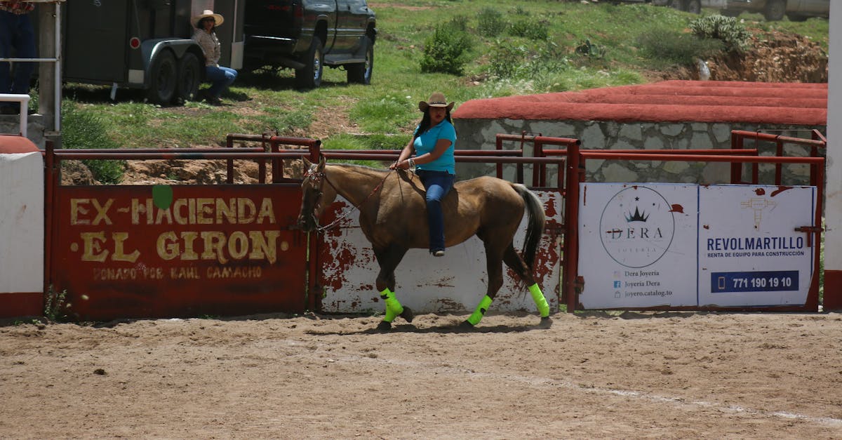 découvrez un exemple détaillé et pratique pour vous aider à mieux comprendre et appliquer le sujet abordé. idéal pour ceux qui cherchent des explications claires et des solutions efficaces.