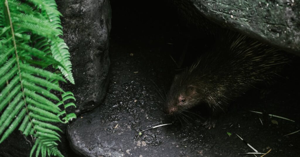 Comment reconnaître le comportement d’un ex encore amoureux pour le reconquérir rapidement découvrez les comportements typiques d'un ex-amoureux et apprenez à les comprendre pour mieux tourner la page après une rupture.