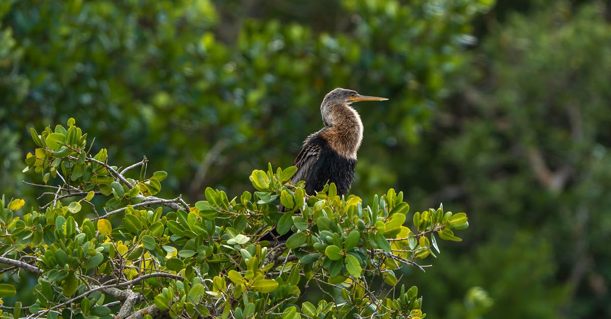 découvrez les comportements typiques d'un ex-amoureux et comment les reconnaître pour mieux gérer vos relations passées.