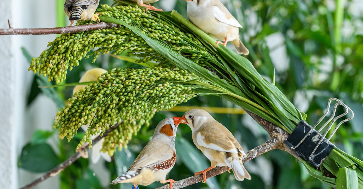 découvrez les comportements typiques d'un ex-amoureux et comment les comprendre pour mieux gérer la séparation et avancer.