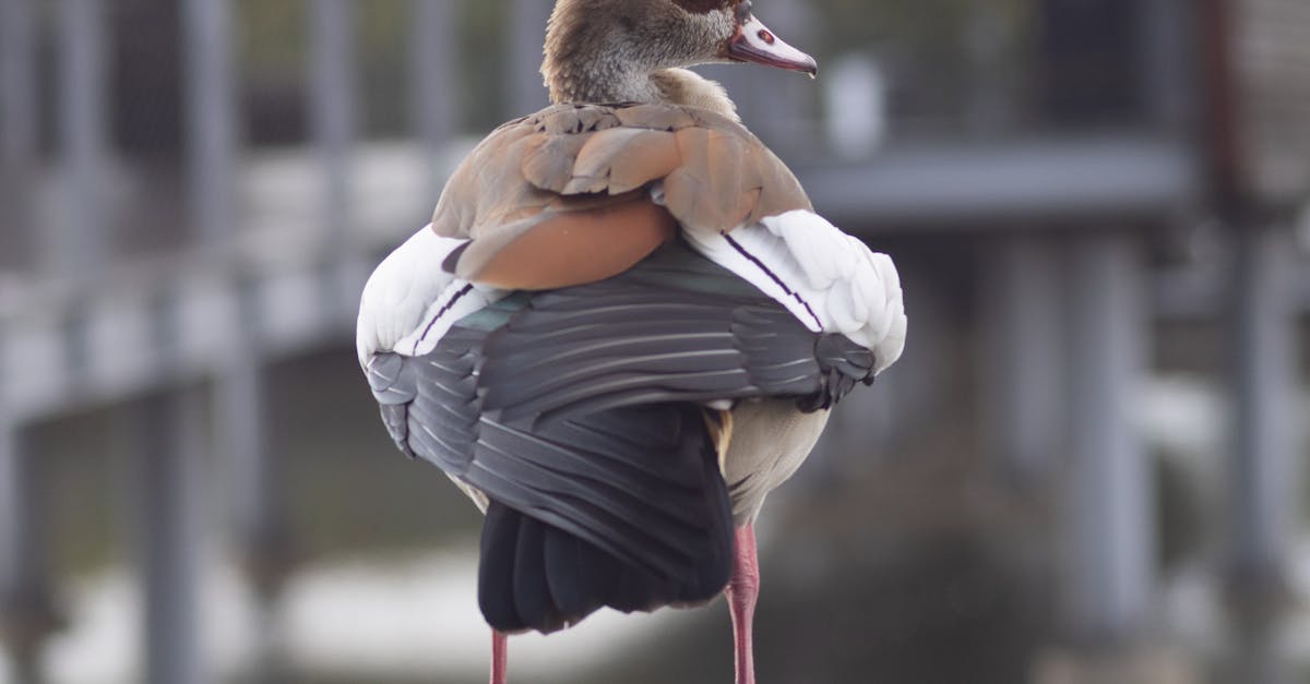 découvrez comment renouer avec votre ex après une période de silence grâce à des conseils pratiques et des stratégies efficaces pour raviver la communication et reconstruire la relation.