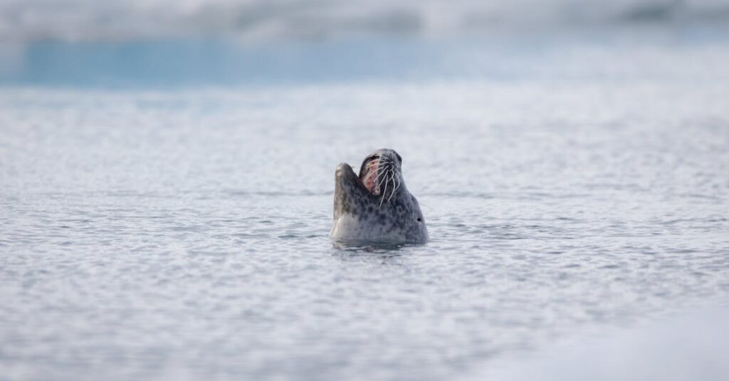 découvrez comment renouer avec votre ex après une période de silence grâce à nos conseils efficaces et bienveillants.