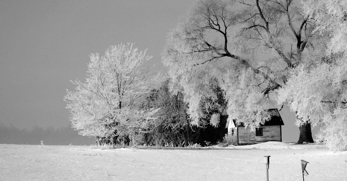découvrez comment renouer avec votre ex après une période de silence grâce à des conseils efficaces et adaptés pour rétablir la communication et raviver la relation.