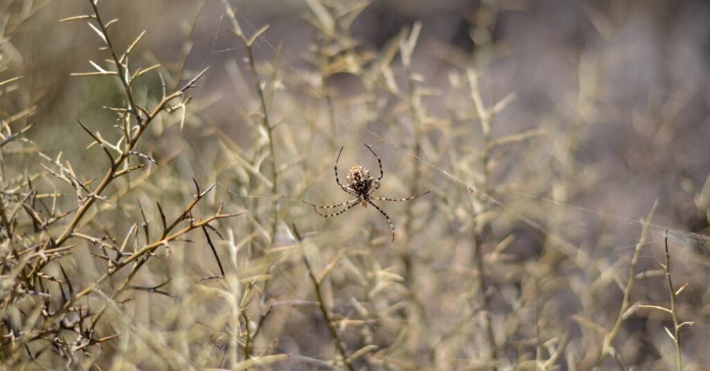 apprenez des techniques efficaces pour faire regretter votre ex à travers des messages sms, tout en restant respectueux et mature.
