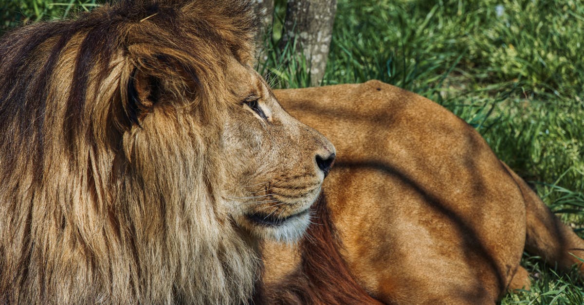 découvrez les comportements clés lors de l'introduction de partenaires pour optimiser la collaboration et renforcer les relations professionnelles.