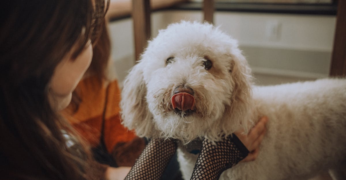 découvrez les comportements clés pour réussir l'introduction avec un partenaire, optimiser la collaboration et renforcer les relations professionnelles.