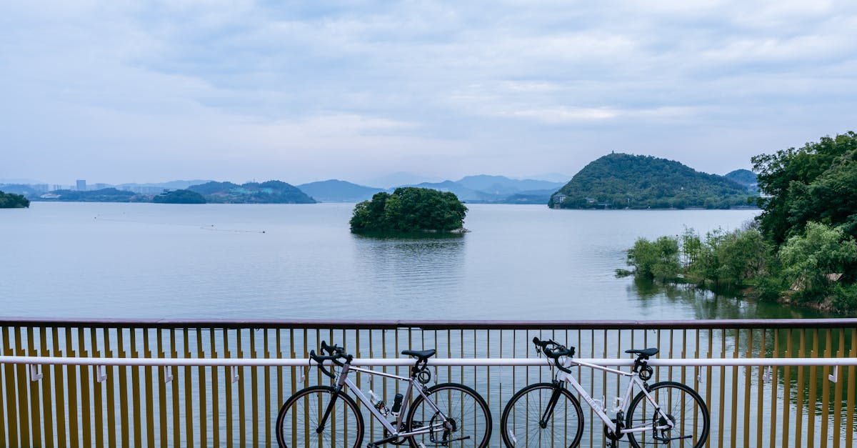 découvrez les comportements clés lors de l'introduction d'un partenaire pour garantir une collaboration réussie et harmonieuse.