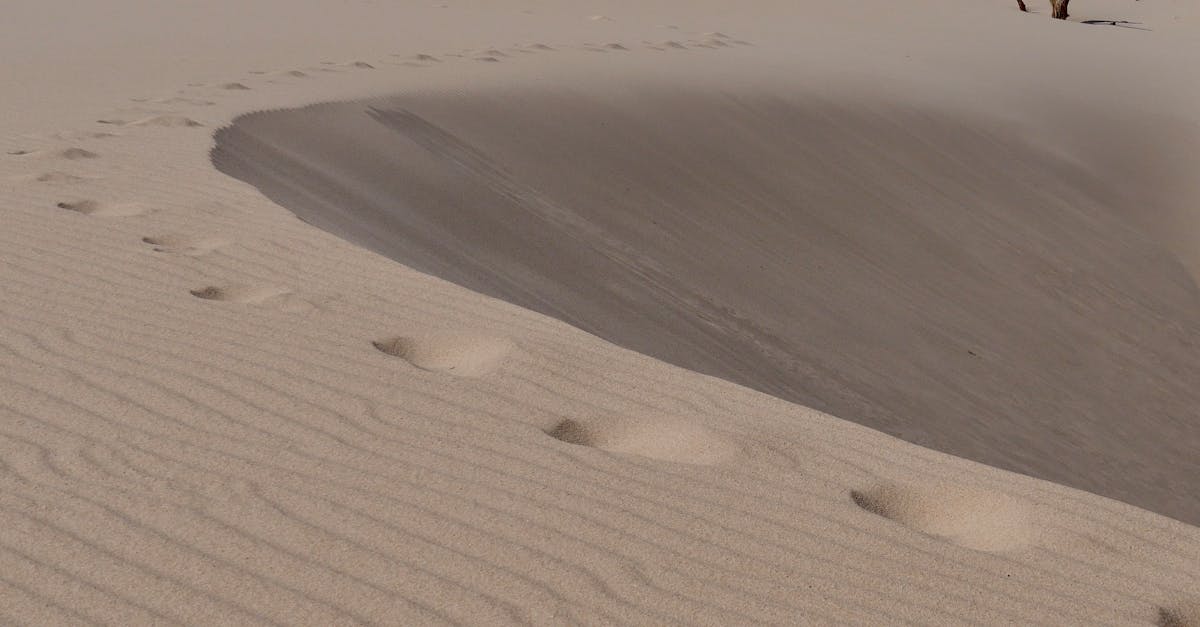 découvrez la puissance du silence : ses bienfaits, ses définitions et son impact sur le bien-être au quotidien. plongez dans un univers apaisant et explorez comment le silence peut transformer votre vie.