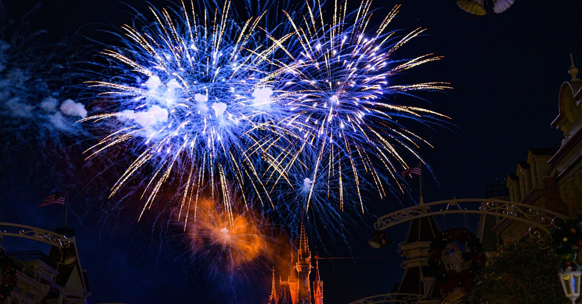 découvrez notre sélection d'attractions incontournables pour des moments inoubliables et des expériences uniques à partager en famille ou entre amis.