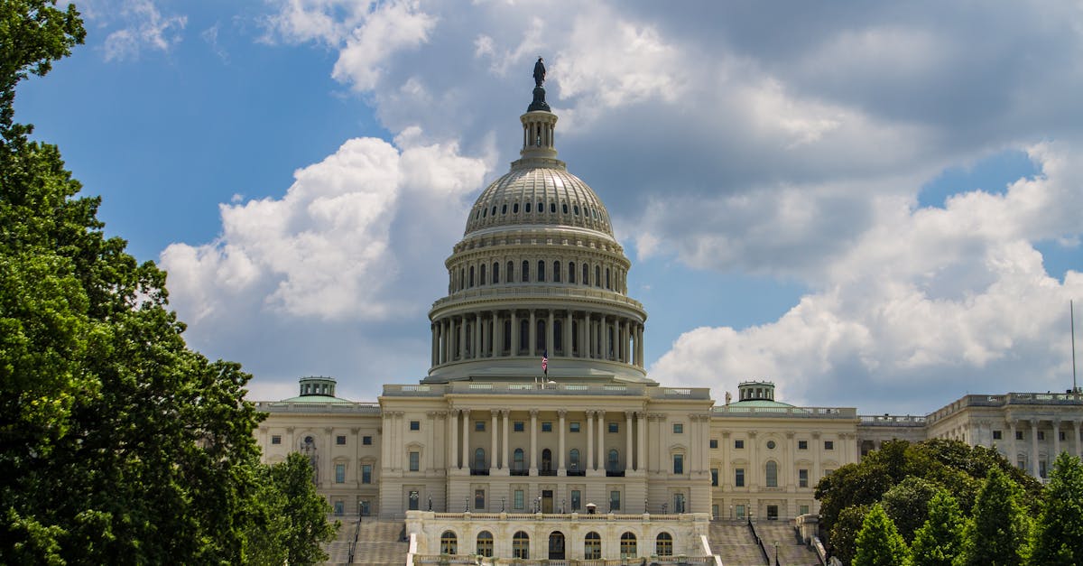 découvrez la loi d'attraction, un principe puissant qui vous aide à manifester vos désirs et à attirer le positif dans votre vie grâce à la pensée et à l'énergie.